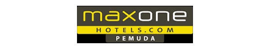 MaxOne